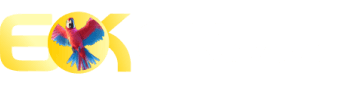 Tadabet .com - Kgbet